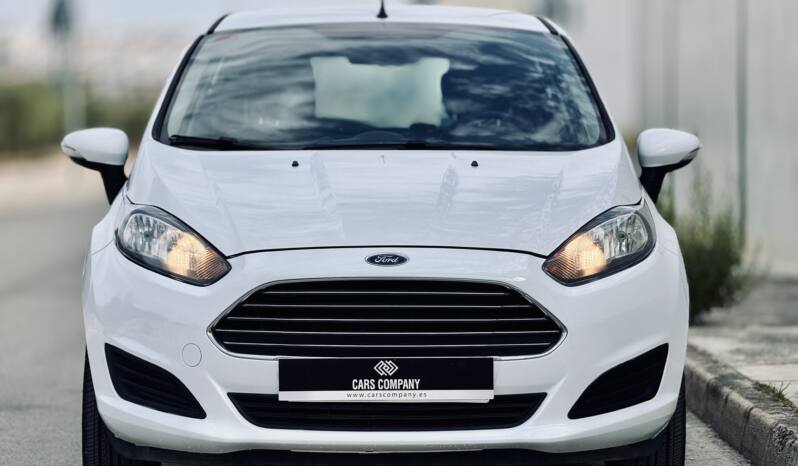 FORD FIESTA lleno